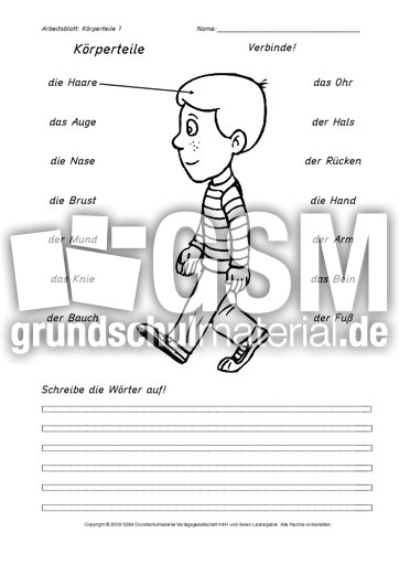 AB-Körperteile-1-9.pdf